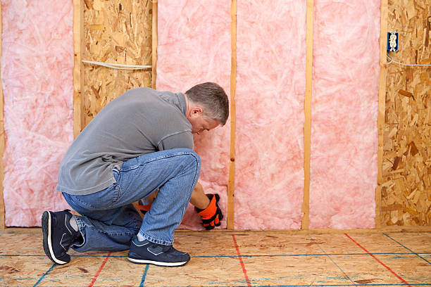 Best Insulation Installation Services in Fredonia, WI